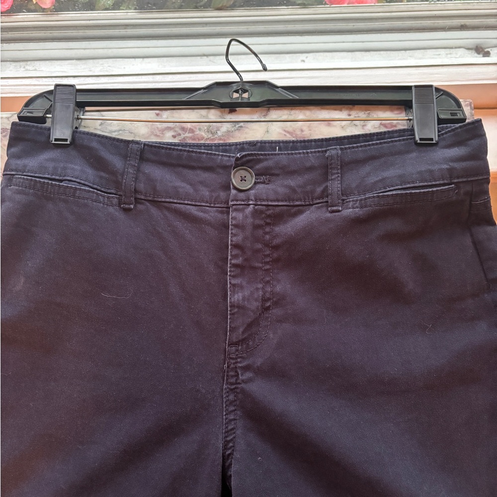 LOFT Navy Straight Leg Ankle Pants